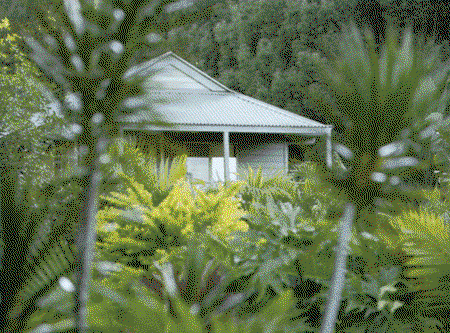 Coorabell NSW Holiday Cairns