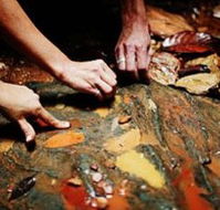 Daintree Eco Lodge And Spa - Holiday Cairns
