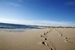 Kalbarri Palm Resort - Holiday Cairns 4