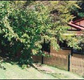 Apple Tree Cottage