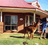 Brilea Cottages - Holiday Cairns