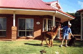 Brilea Cottages - Holiday Cairns 0