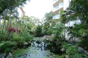 181 The Esplanade - Holiday Cairns 1
