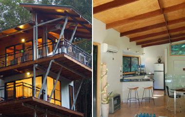 EcOasis - Holiday Cairns 3