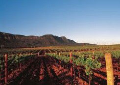 Peppers Guest House Hunter Valley - Holiday Cairns 2