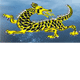 Dragon Phoenix Motel amp Restuarant - Holiday Cairns