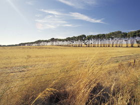 Port Wakefield Motel - Holiday Cairns 0
