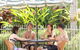 Cairns Reef Apartments And Motels - thumb 2