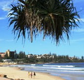 Mariners Caloundra - Holiday Cairns