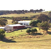 Sun Valley Eco Farm - Holiday Cairns