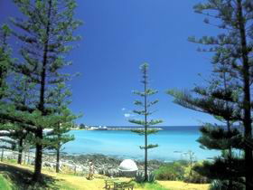 The Beach House - Holiday Cairns 0