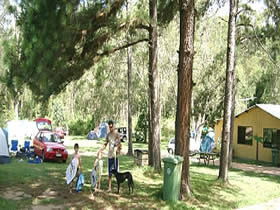 Glasshouse Mountains Holiday Village - Holiday Cairns 0