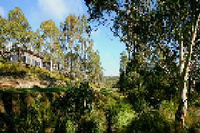 Rossarden TAS Holiday Cairns