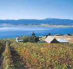 Marions Vineyard  - Holiday Cairns