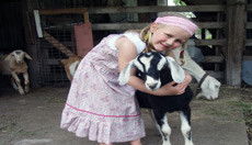 Country Roads Farmstay - Holiday Cairns 0
