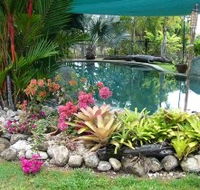 Daintree Wild Bed And Breakfast - Holiday Cairns
