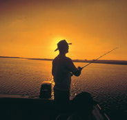 Point Stuart Wilderness Lodge - Holiday Cairns
