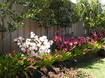Pigeon House Motor Inn - Holiday Cairns 28