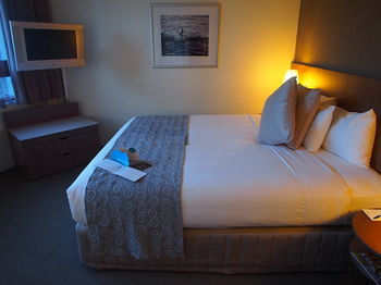 Hotel Urban St Leonards - Holiday Cairns 59