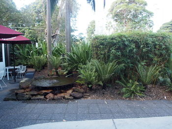 Hotel Urban St Leonards - Holiday Cairns 101