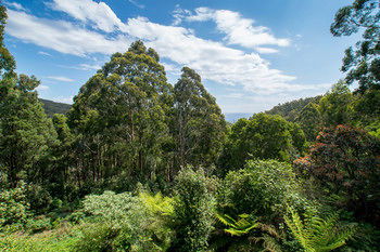 A Camelot Tower & Penthouse - Holiday Cairns 46
