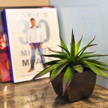 Apartments @ Glen Waverley - Holiday Cairns 23