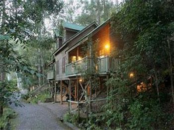 Barrington Wilderness Cedar Lodge Accommodation - Holiday Cairns 3