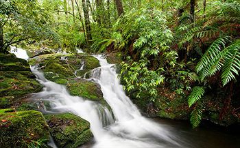 Barrington Wilderness Cedar Lodge Accommodation - Holiday Cairns 10