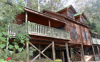 Barrington Wilderness Cedar Lodge Accommodation - Holiday Cairns 12