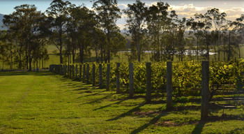 H Boutique Hotel - Holiday Cairns 34