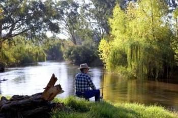 Riverglade Caravan Park - Holiday Cairns 1