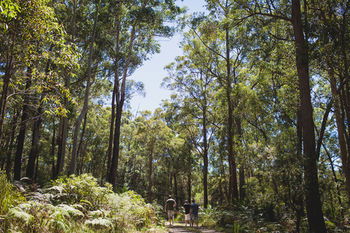 Bawley Bush Retreat And Cottages - Holiday Cairns 9