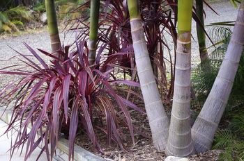 Bawley Bush Retreat And Cottages - Holiday Cairns 42