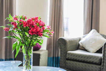 Anchor On Flinders Prime - Holiday Cairns 20