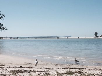 Huskisson Beach Bed And Breakfast - Holiday Cairns 3