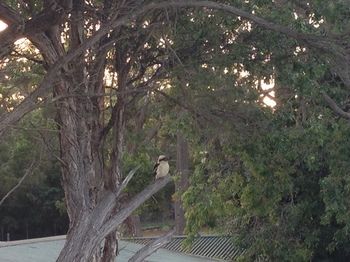 Huskisson Beach Bed And Breakfast - Holiday Cairns 7