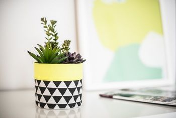 Apartment2c - Metro - Holiday Cairns 12