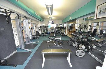 Sydney CBD 303 Elz Furnished Apartment - Holiday Cairns 6