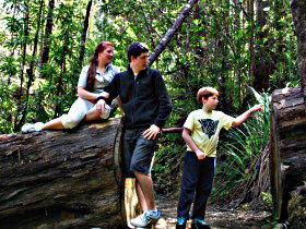 Tahune Airwalk Lodge - Holiday Cairns 0