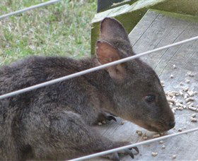 Launceston Bed And Breakfast Retreat - Holiday Cairns 1