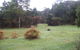 Macquarie Heads Camping Ground - thumb 1