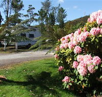 Zeehan Bush Camp  and Caravan Park - Holiday Cairns