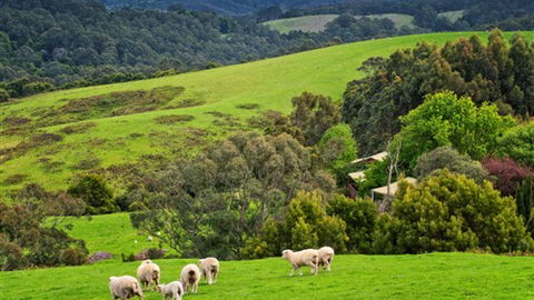 Johanna River Farm And Self Contained Cottages - Holiday Cairns 1