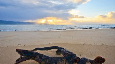 Best Western Apollo Bay Motel And Apartments - Holiday Cairns 7