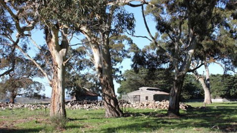 Moranghurk Vineyard & Accommodation - Holiday Cairns 3