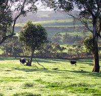 Bellevue Farmstay - Holiday Cairns