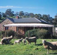 Amanda Stichbury Cottage - Holiday Cairns