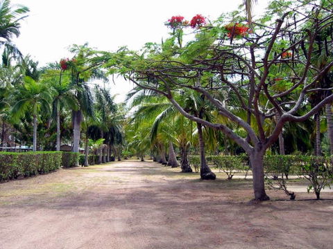 Alva Beach Tourist Park - Holiday Cairns 0