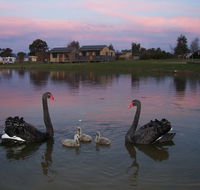 Mansfield Holiday Park - Holiday Cairns