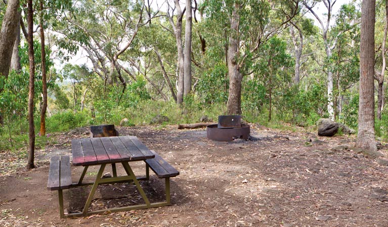 Kaputar NSW Holiday Cairns
